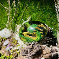 Œuf de Dragon - Résine Transparente